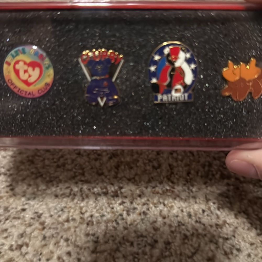 Ty Collectible Pin Set - Picture 4 of 4